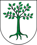 Herb gminy Kruszwica