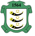 Herb gminy miejskiej Jordanów